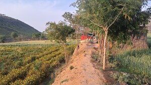  Land – Exterior View View at Bakhtpura - for Sale