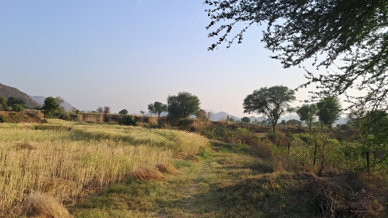 Exterior View, bakhtpura Commercial Land 7 Acre In Bakhtpura Alwar 8466657