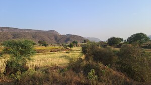  Land – Exterior View View at Bakhtpura - for Sale