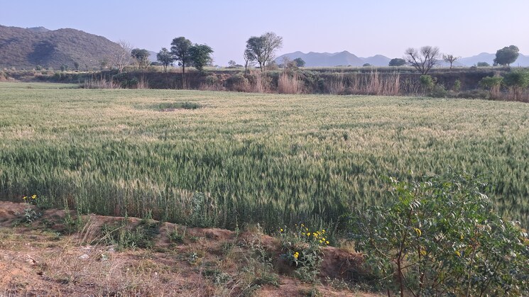 Exterior View, bakhtpura Commercial Land 7 Acre In Bakhtpura Alwar 8466657