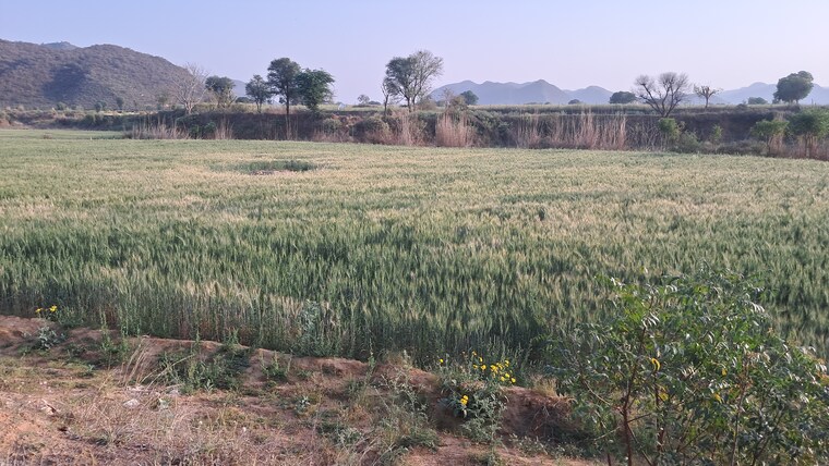 Exterior View, bakhtpura Commercial Land 7 Acre In Bakhtpura Alwar 8466657