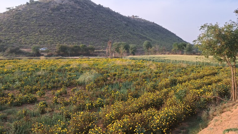 Exterior View, bakhtpura Commercial Land 7 Acre In Bakhtpura Alwar 8466657
