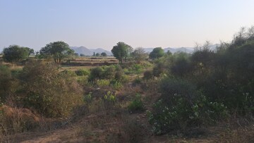  Land – Exterior View View at Bakhtpura - for Sale