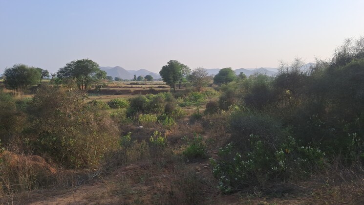 Exterior View, bakhtpura Commercial Land 7 Acre In Bakhtpura Alwar 8466657