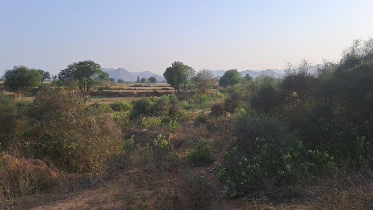 Exterior View, bakhtpura Commercial Land 7 Acre In Bakhtpura Alwar 8466657