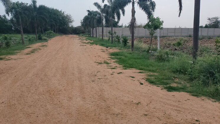 Garden, mokila  1066 Sq.Yd. Plot In Mokila Hyderabad 8467333