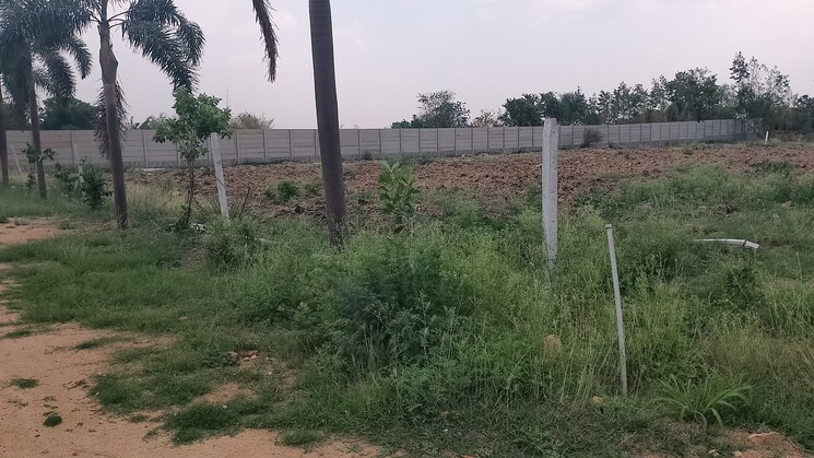 Garden, mokila  1066 Sq.Yd. Plot In Mokila Hyderabad 8467333