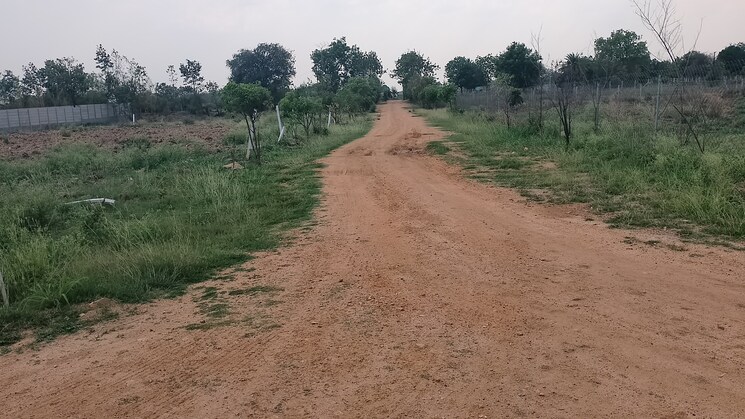 Garden, mokila  1066 Sq.Yd. Plot In Mokila Hyderabad 8467333