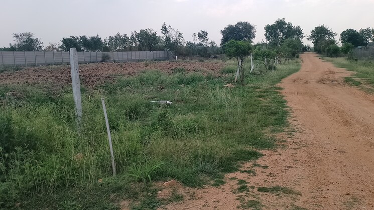 Garden, mokila  1066 Sq.Yd. Plot In Mokila Hyderabad 8467333