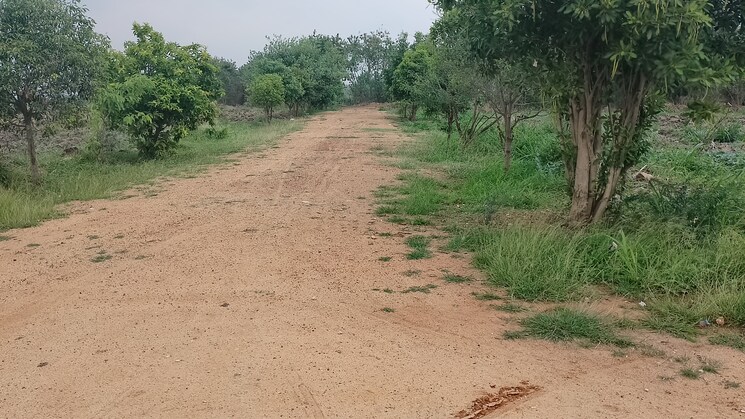 Garden, mokila  1066 Sq.Yd. Plot In Mokila Hyderabad 8467333