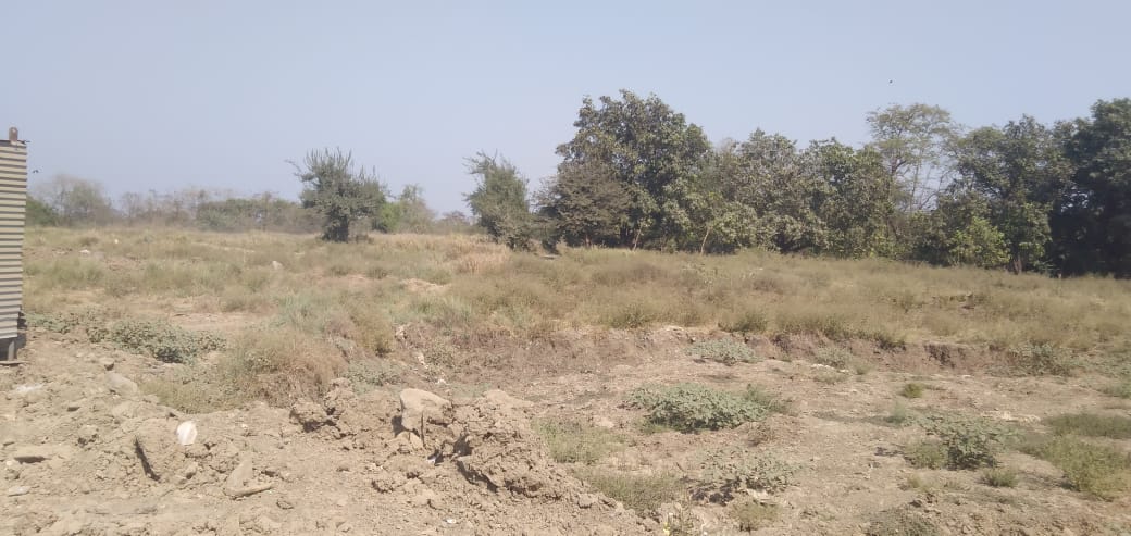 Land For Sale in Bodakdev