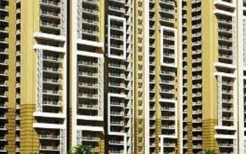 3 BHK Apartment For Rent in Amrapali Crystal Homes, Sector 76