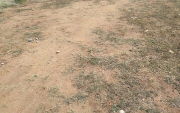 Plot For Sale in Narsingi