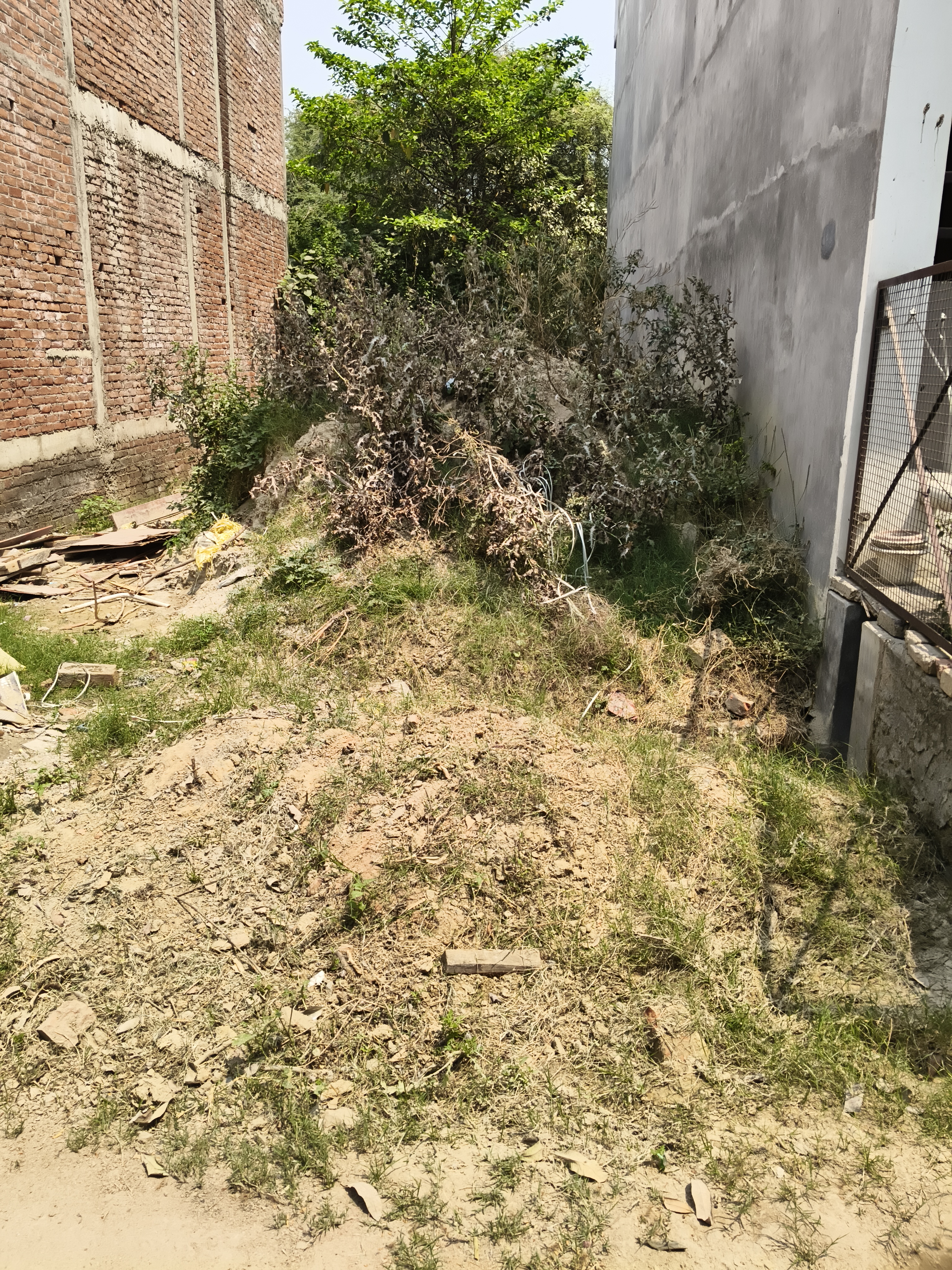 Plot For Sale in Mansarovar 
