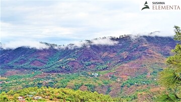 1 BHK Apartment – Exterior View View at Kasauli - for Sale