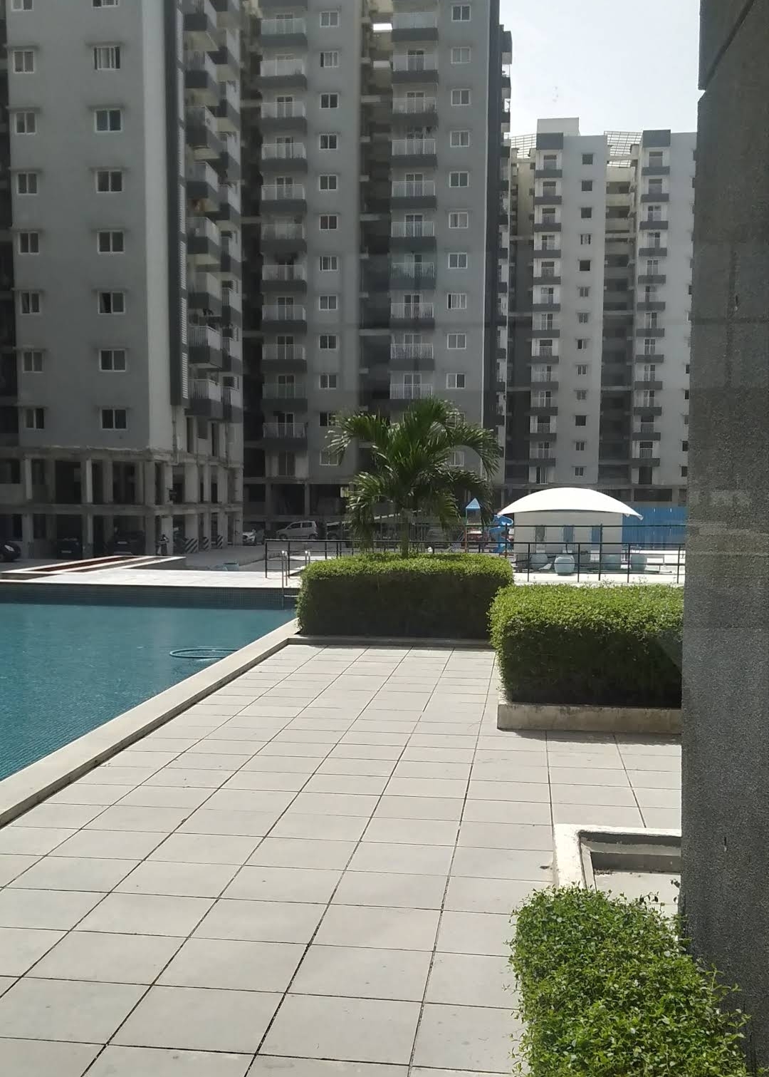 3 BHK Apartment For Sale in Jains Carlton Creek Khaja
