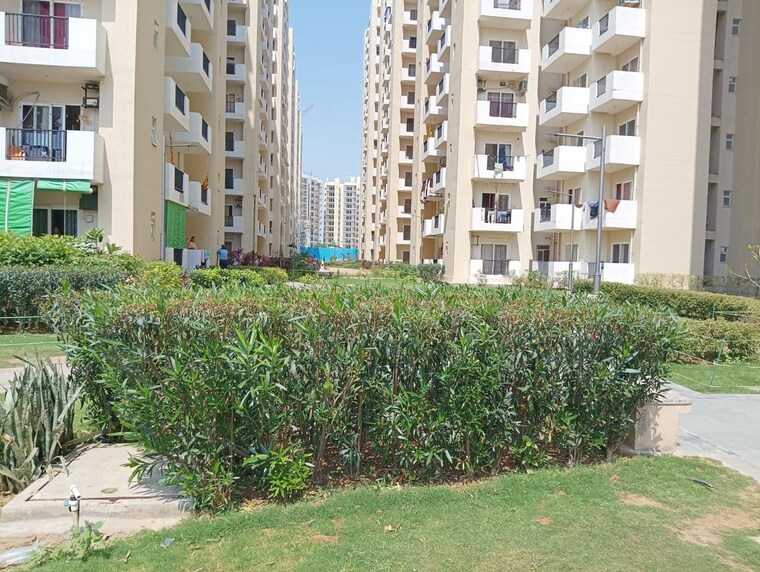 Living Room, gls-arawali-homes 2 Bedroom 576 Sq.Ft. Apartment In Sohna Sector 4 Gurgaon 8468458