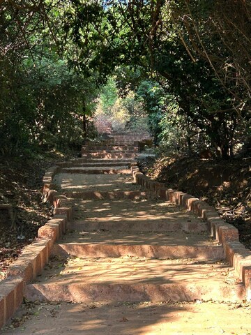  Plot – Exterior View View at Sahastradhara Road - for Sale