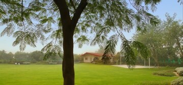 Kitchen in  Plot at Sector 135 – for Sale