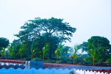  Plot – Exterior View View at Sri Bhumi Eeshaanya, Kankipadu - for Sale