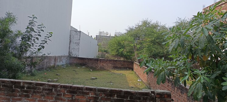 Garden, gomti nagar  1000 Sq.Yd. Plot In Gomti Nagar Lucknow 8468835