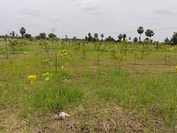  Land For Sale in Mylavaram