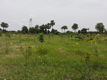 Plot Area in  Land at Mylavaram – for Sale