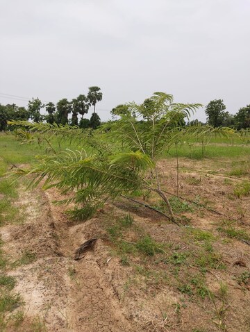  Land – Garden View at Mylavaram - for Sale