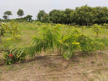  Land – Garden View at Mylavaram - for Sale