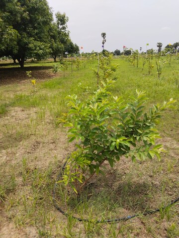  Land – Garden View at Mylavaram - for Sale