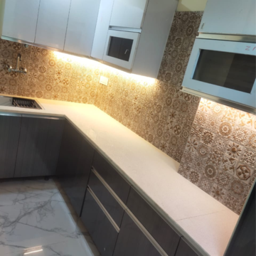 Kitchen in 2.5 BHK Builder Floor at Sector 23 – for Rent