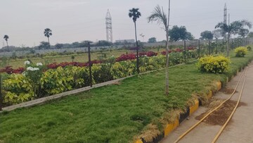  Plot – Exterior View View at Amerispace Dream Meadows, Kothur - for Sale
