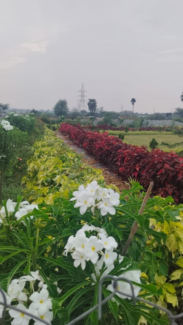 Exterior View, amerispace-dream-meadows  200 Sq.Yd. Plot In Kothur Hyderabad 8469241