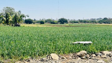 Plot Area in  Plot at Rajendra Nagar – for Sale