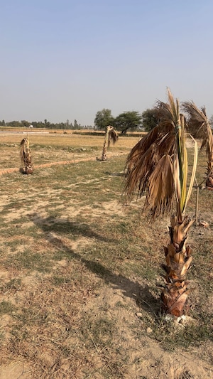  Plot For Sale in Knowledge Park 1 Greater Noida