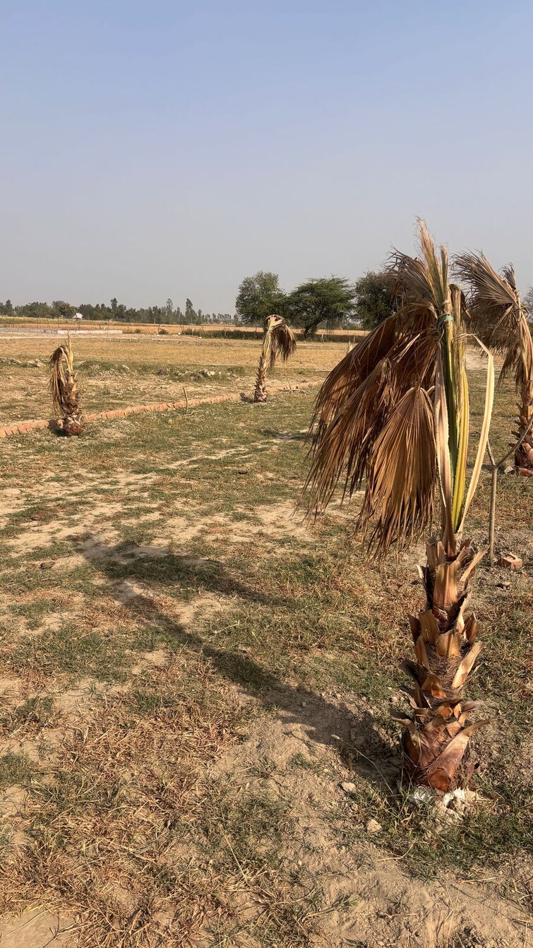 Cover Image, knowledge park 1 greater noida  100 Sq.Yd. Plot In Knowledge Park 1 Greater Noida Greater Noida 8469950