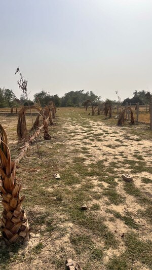  Plot – Exterior View View at Knowledge Park 1 Greater Noida - for Sale