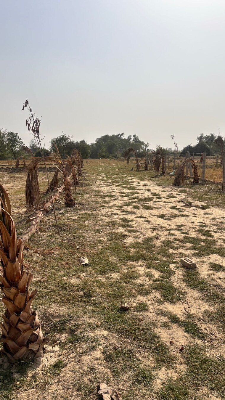 Exterior View, knowledge park 1 greater noida  100 Sq.Yd. Plot In Knowledge Park 1 Greater Noida Greater Noida 8469950