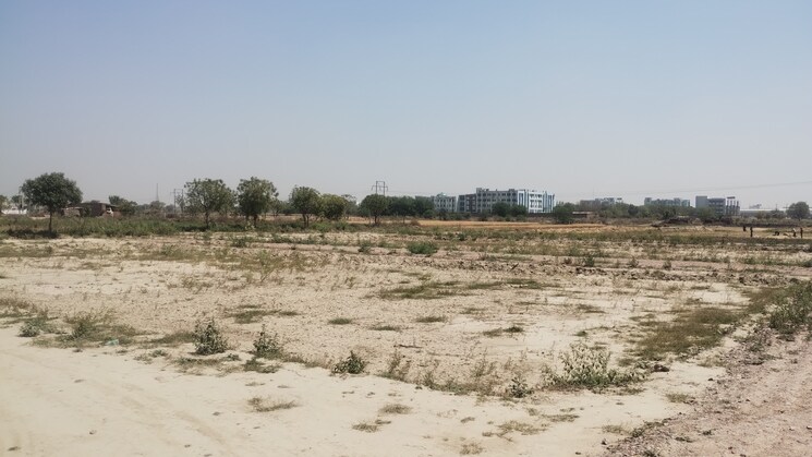 undefined, bamnikhera  145 Sq.Yd. Plot In Bamnikhera Palwal 8470211