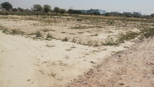  Plot For Sale in Jawahar Nagar Palwal