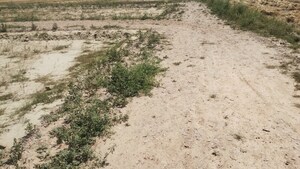 Plot Area in  Plot at Jawahar Nagar Palwal – for Sale