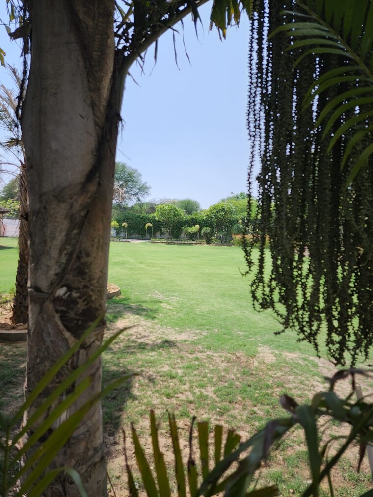 Exterior View, dera 6 Bedroom 4000 Sq.Ft. Villa In Dera Delhi 8471191