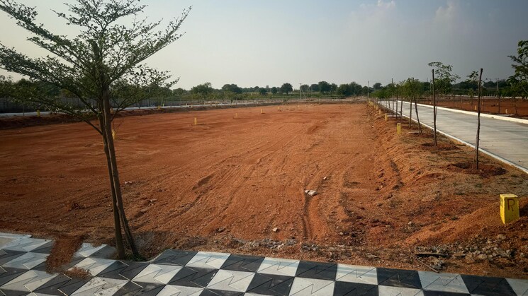 Garden, burgula village  183 Sq.Yd. Plot In Burgula Village Hyderabad 8471336