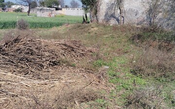 Plot For Sale in Farukh Nagar
