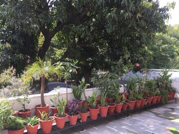 4 BHK Builder Floor For Rent in Hauz Khas Enclave
