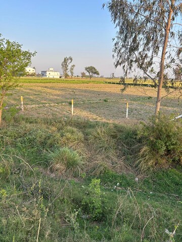 Plot Area in  Land at Shahabad Barara Road – for Sale