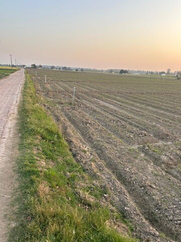 Plot Area in  Land at Shahabad Markanda – for Sale