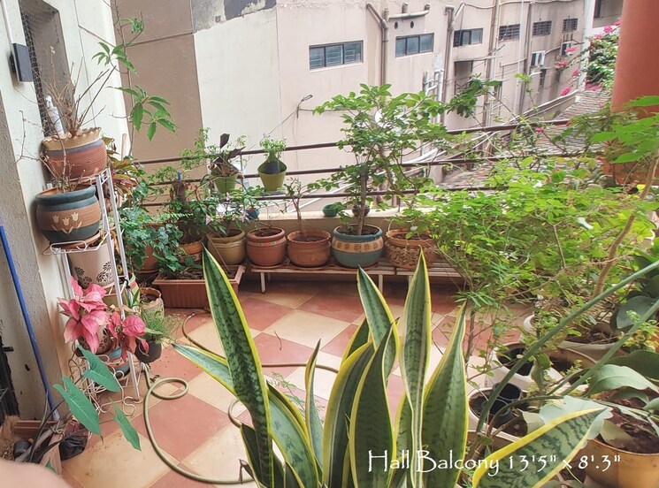 Balcony, hinjewadi 2 Bedroom 800 Sq.Ft. Apartment In Hinjewadi Pune 8473006