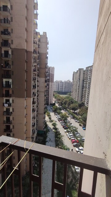 2.5 BHK Apartment For Rent in Logix Blossom County, Sector 137