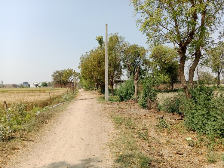 Garden, gwalior road  100 Sq.Yd. Plot In Gwalior Road Agra 8473797